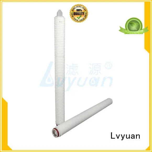 pleated filter element manufacturer for food and beverage Lvyuan 1