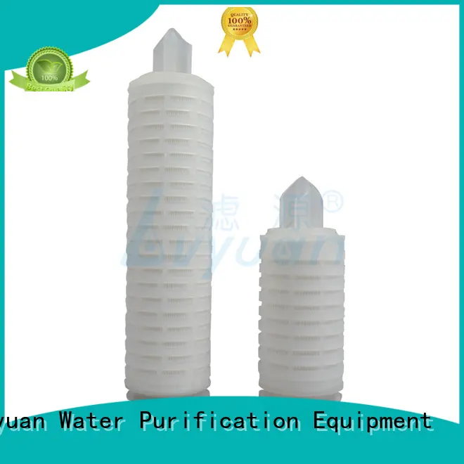 Lvyuan pes pleated filter element manufacturer for food and beverage 1