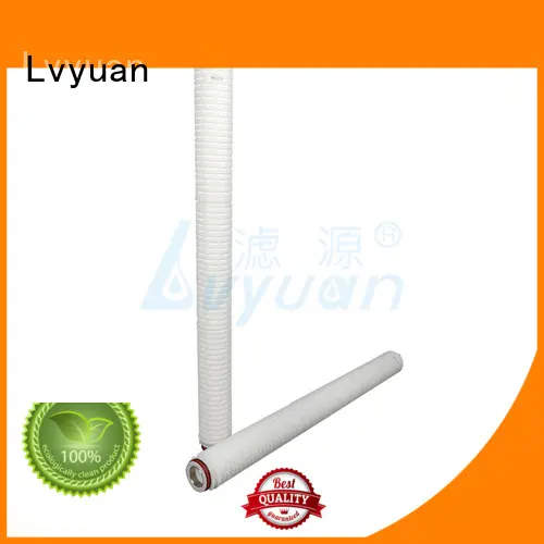 Lvyuan pvdf pleated filter manufacturers with stainless steel for liquids sterile filtration 1