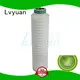 Lvyuan pvdf pleated filter cartridge suppliers manufacturer for food and beverage 1