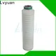 Lvyuan water pleated filter manufacturers with stainless steel for liquids sterile filtration 1