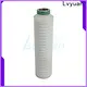 Lvyuan pleated filter manufacturer for sea water desalination 1