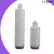 Lvyuan pvdf pleated filter cartridge suppliers manufacturer for diagnostics 1