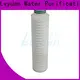 pes pleated filter cartridge suppliers supplier for industry 1