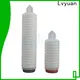 Lvyuan pleated filter with stainless steel for liquids sterile filtration1 1