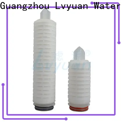 Lvyuan pleated filter manufacturer for liquids sterile filtration 1