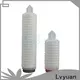 Lvyuan pleated filter manufacturers supplier for liquids sterile filtration 1