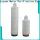 Lvyuan pes pleated water filters with stainless steel for liquids sterile filtration 1
