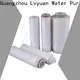 Lvyuan pleated water filters manufacturer for liquids sterile filtration 1