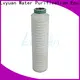 Lvyuan pvdf pleated filter element supplier for sea water desalination 1