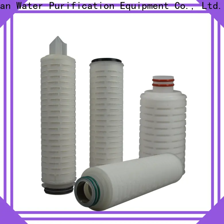 membrane pleated filter element replacement for food and beverage 1