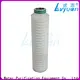Lvyuan membrane pleated filter manufacturers with stainless steel for liquids sterile filtration 1