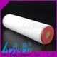 Lvyuan Hot sale pleated water filters wholesaler for water 1