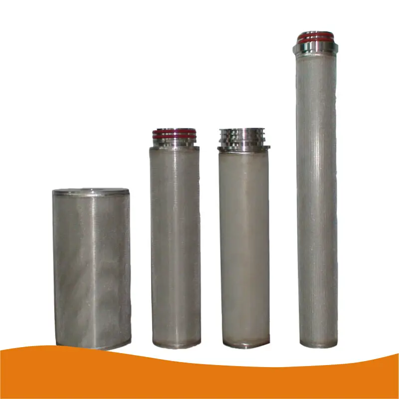 For Industry Sintered Polyethylene Filter by Lvyuan Filter 1
