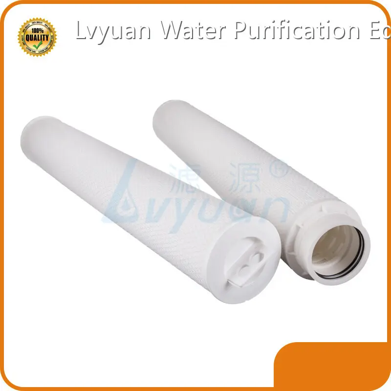 High Flow Water Filter for Water Filtration OEM/Lvyuan - - Lvyuan Filter 1