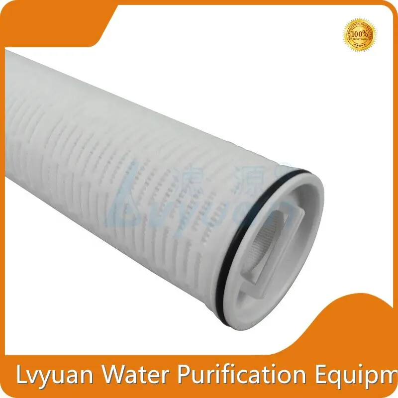 High Flow Water Filter Cartridge - for Biopharmaceutical - Lvyuan Filter 1