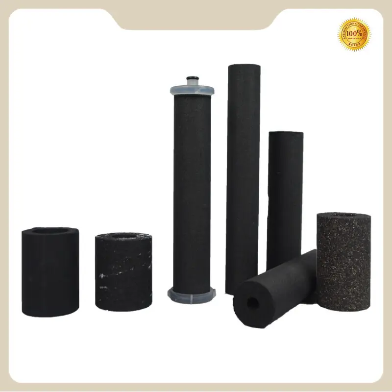 Sintered Carbon Filter Cartridge - for Electrical Liquid Filtration - Lvyuan Filter 1