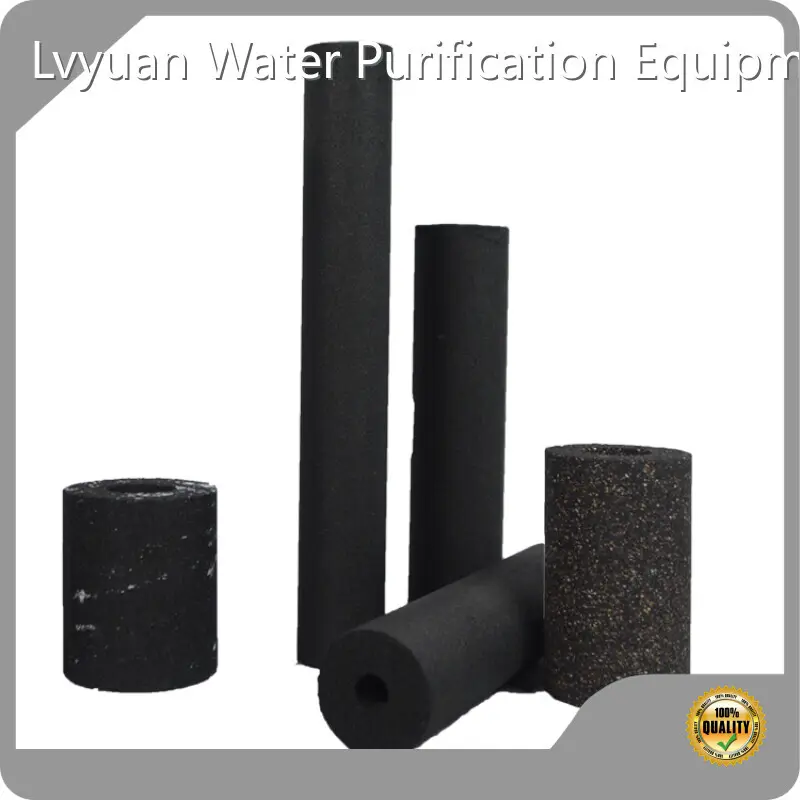 Sintered Carbon Filter Cartridge - for Biopharmaceutical - Lvyuan Filter 1