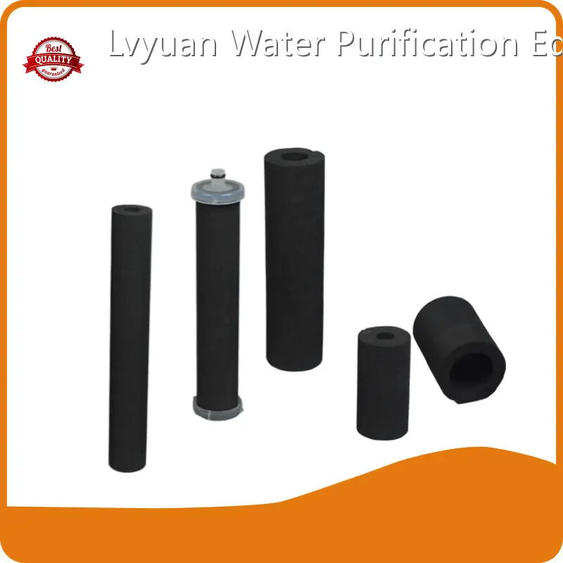 OEM&ODM Sintered Carbon Filter Cartridge Factory Price for Electronic 1
