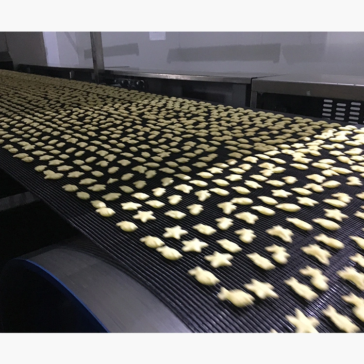 Golden Bake best biscuit plant solution for biscuit making 3