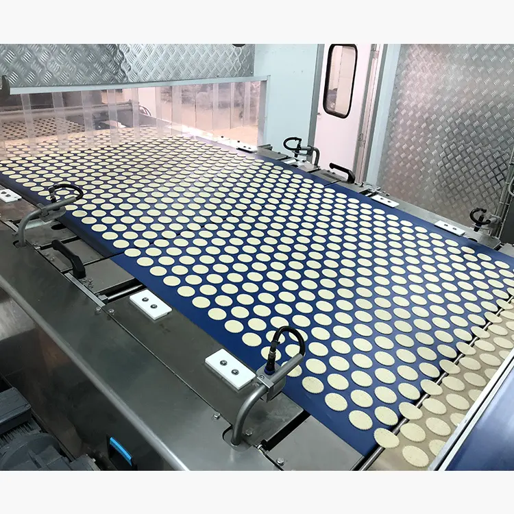 top dough forming equipment factory for marie biscuit production 4