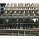 top dough forming equipment factory for marie biscuit production 5
