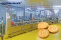 Golden Bake biscuit machinery manufacturers for ritz biscuit production 5