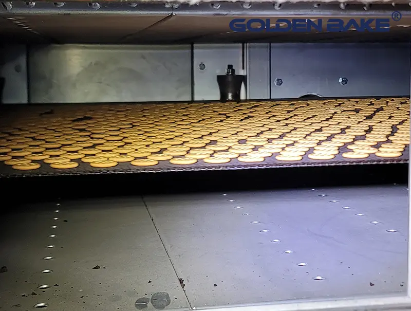 Golden Bake biscuit machinery manufacturers for ritz biscuit production 3