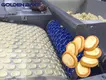 Golden Bake biscuits manufacturing manufacturers for egg tart biscuit making 1