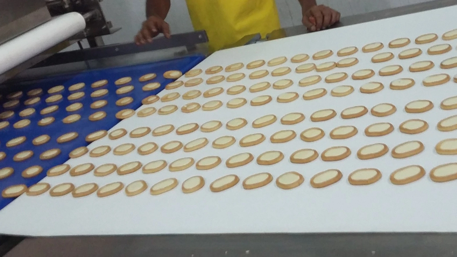 Biscuit Manufacturing Equipment Golden Bake - - Golden Bake 4