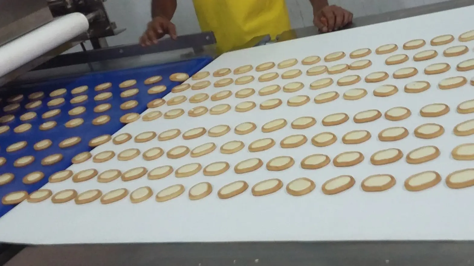 Golden Bake durable production process of biscuit supply for egg tart biscuit making 5