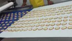 Golden Bake durable production process of biscuit supply for egg tart biscuit making 5