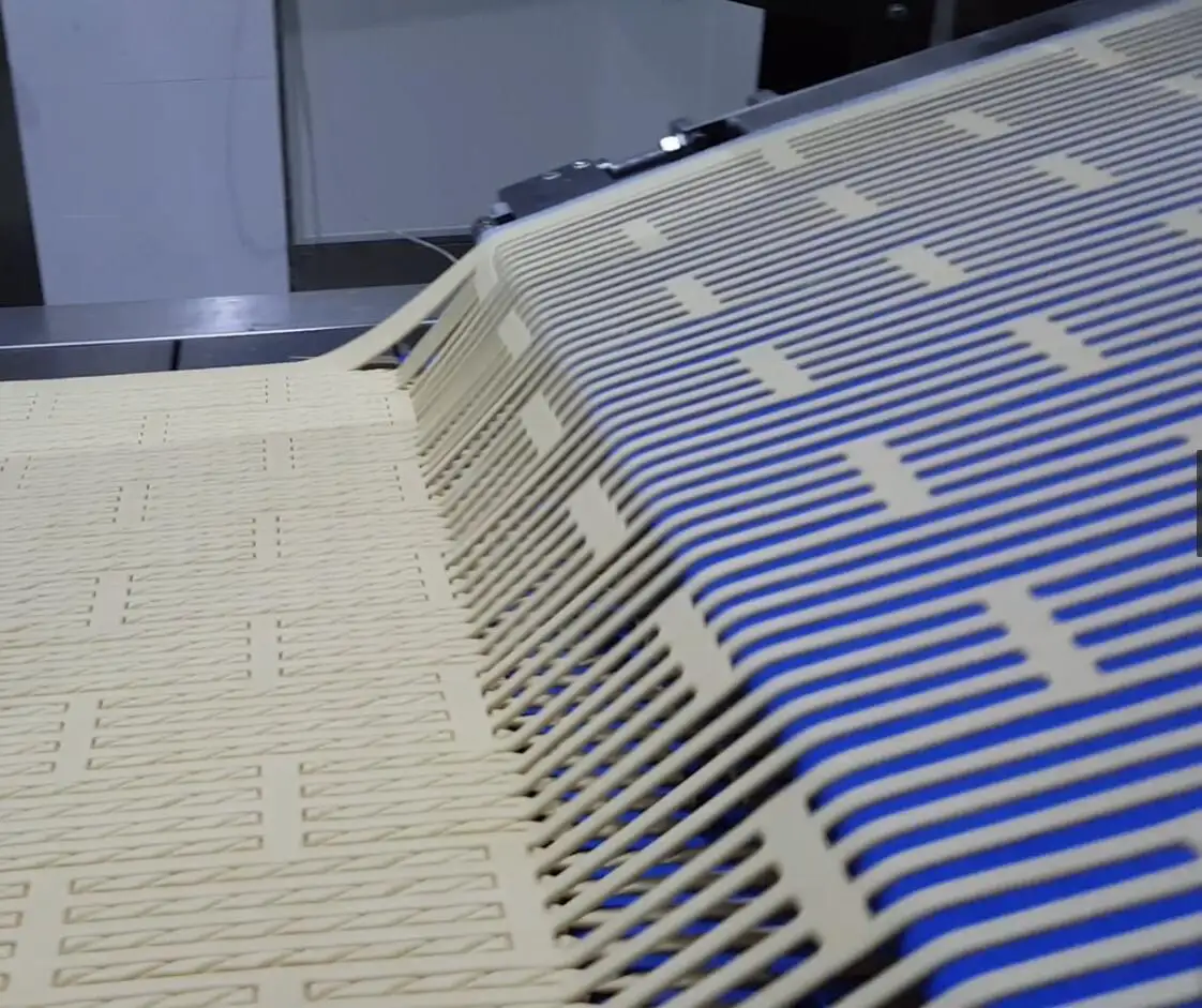 Golden Bake biscuit manufacturing process britannia factory for finger biscuit production 3