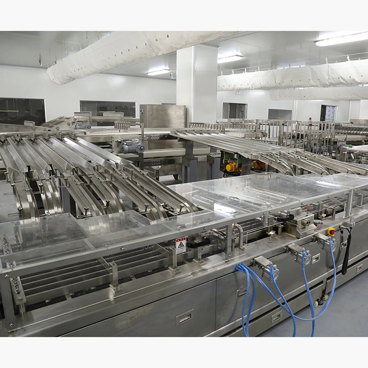 Golden Bake Golden Bake automatic biscuit production line supply 4