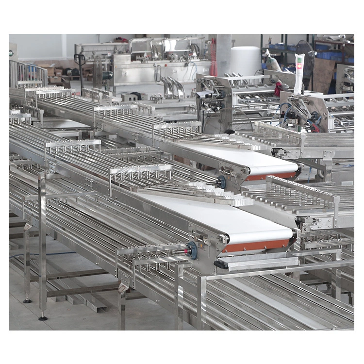 Golden Bake top belt conveyor manufacturers 5