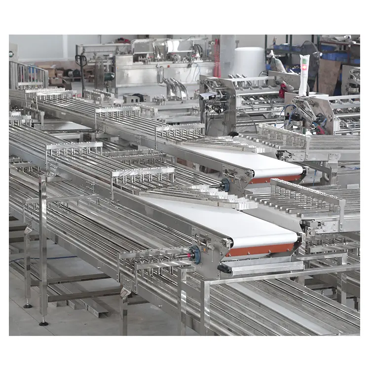 Golden Bake automation system supply for biscuit post baking 5