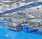 Golden Bake cooling tunnel company for biscuit cream filling1 3