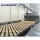 Golden Bake best biscuit sandwich machine suppliers for biscuit cream filling 2