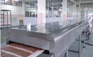 best egg roll making machine solution for biscuit cream filling 5