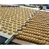 Golden Bake best cooling conveyor company for cooling biscuit 3