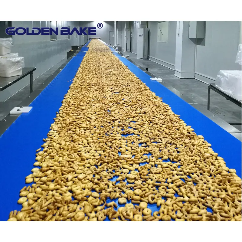 Golden Bake biscuit manufacturing process company for cooling biscuit 1