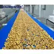 Golden Bake biscuit manufacturing process company for cooling biscuit 1