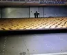 best industrial cookie oven factory for biscuit baking 2