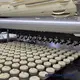 Machines Used in Biscuit Factory T/T - - Golden Bake 2