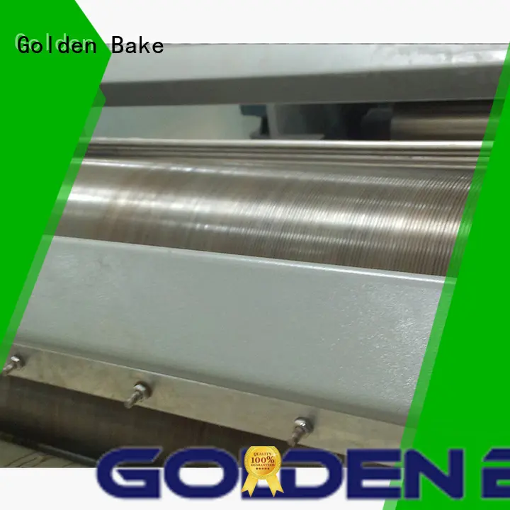 Golden Bake top quality rotary moulder solution for biscuit material forming 1