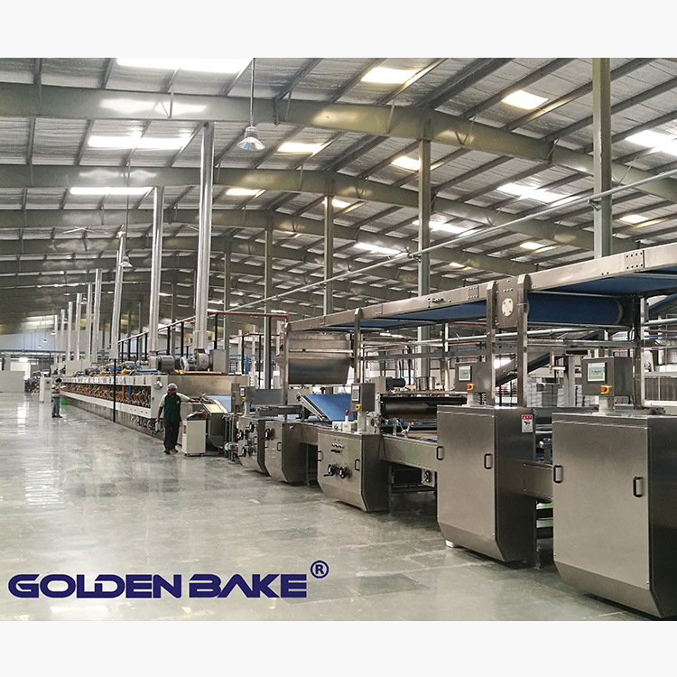 Golden Bake biscuit manufacturing unit company for dough processing 2