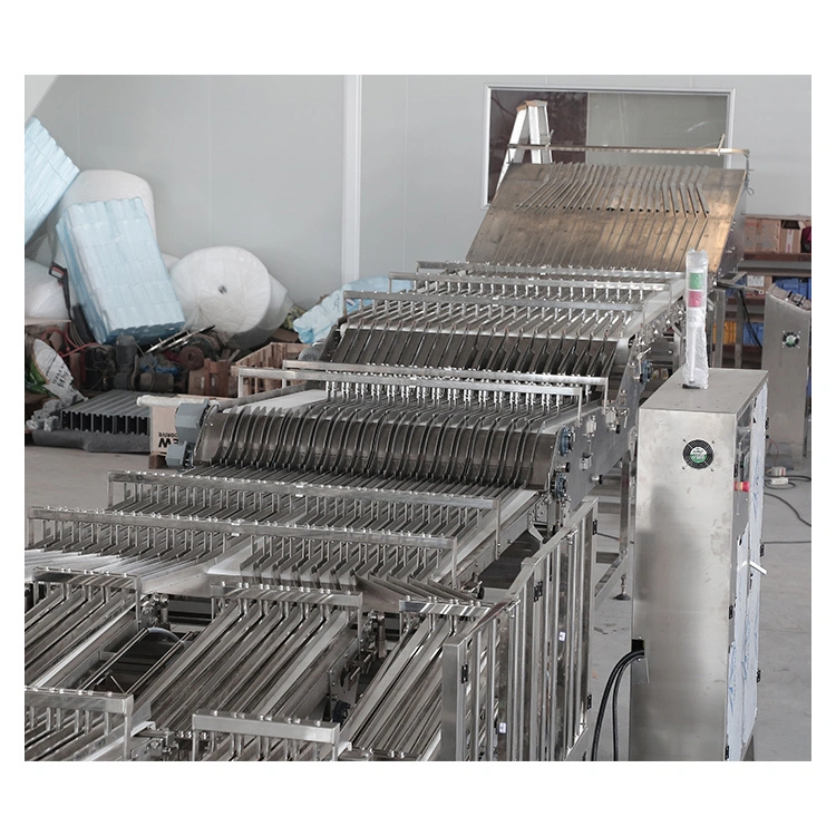 Golden Bake top belt conveyor manufacturers 4