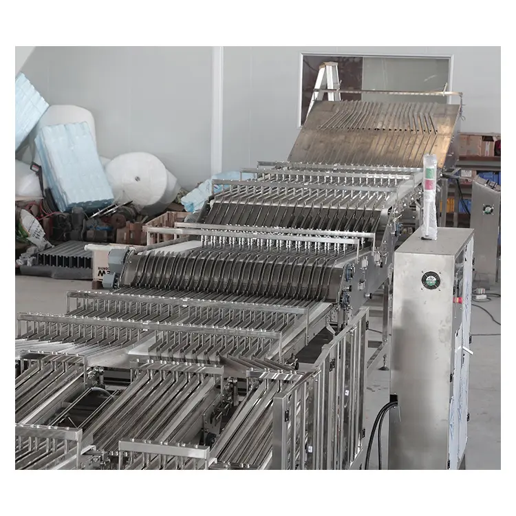 Golden Bake automation system supply for biscuit post baking 4