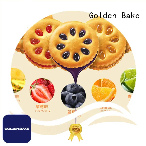 Golden Bake professional automatic biscuit production line solution 1