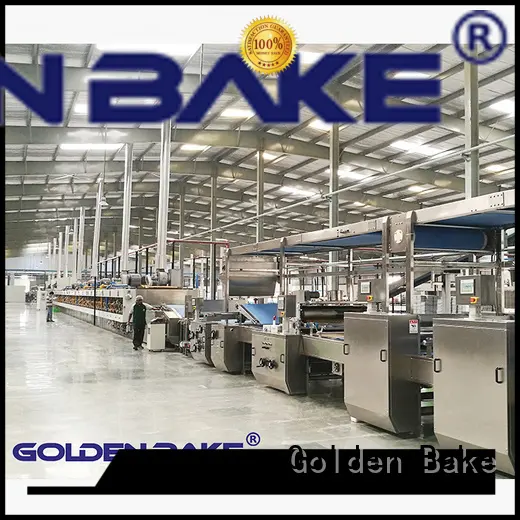 Golden Bake excellent dough roller sheeter manufacturer for dough processing 1